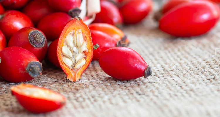 Hagebutten – kleine Frucht, große Wirkung